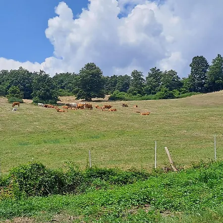 La Piccola Apartmán Pieve Santo Stefano